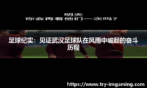 足球纪实：见证武汉足球队在风雨中崛起的奋斗历程